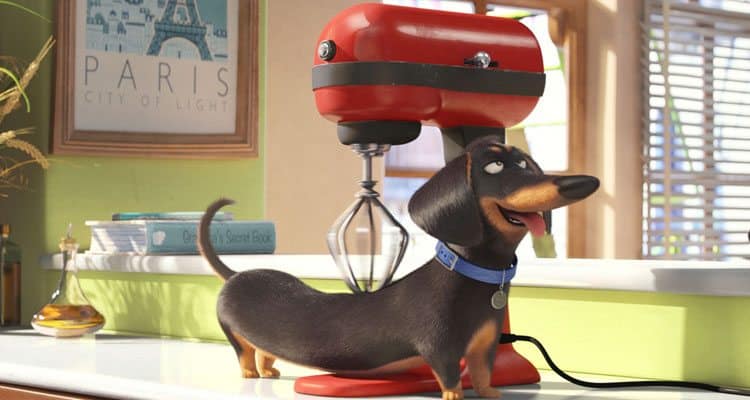 Tráiler de 'Mascotas': Cuando los animales se quedan solos mascotas - the secret life of pets