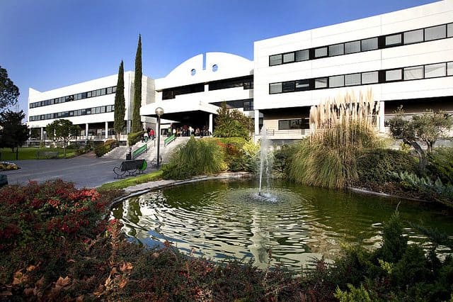 aprendizaje creativo con el project based school de la uem