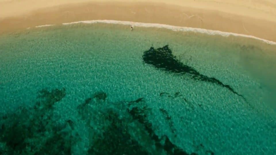 'Infierno Azul', la película que te hará temer el agua isla-infierno-azul