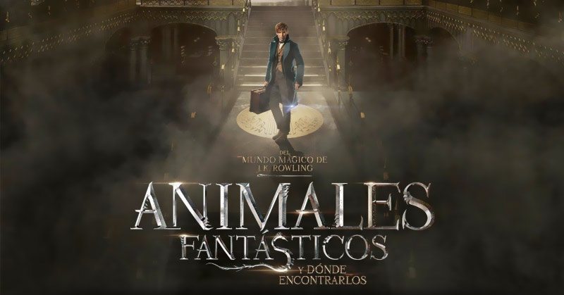 la fantasía no termina: 'animales fantásticos y dónde encontrarlos' tendrá segunda parte