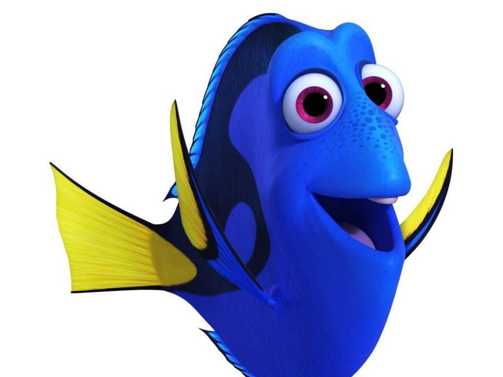 dory