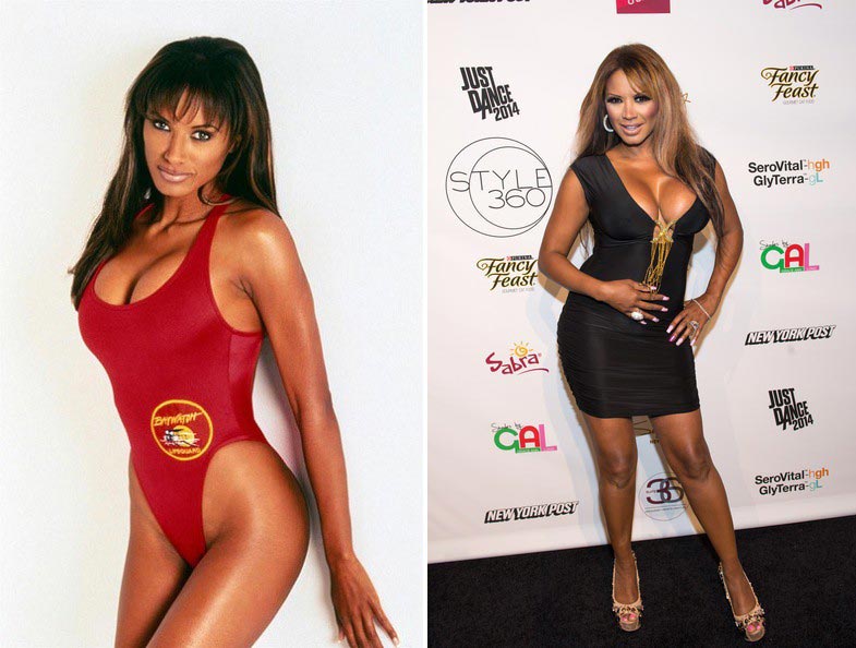 Los Vigilantes de la playa