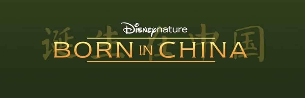 nuevo logo oficial de born in china disney