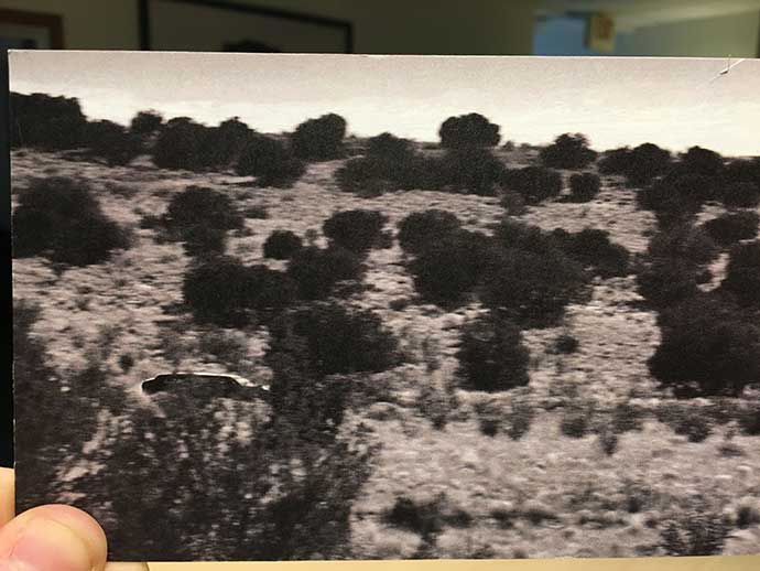 primer adelanto del trailer final de logan