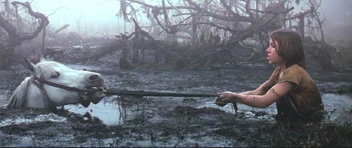 La muerte de Artax ('La historia interminable') la muerte de artax ('la historia interminable')