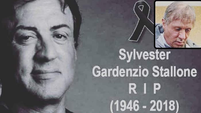 La muerte de Sylvester Stallone