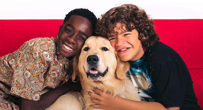 españa es el país que más consume netflix junto a sus mascotas