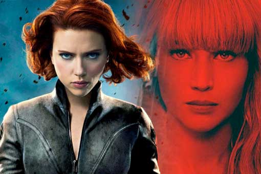 viuda negra gorrión rojo