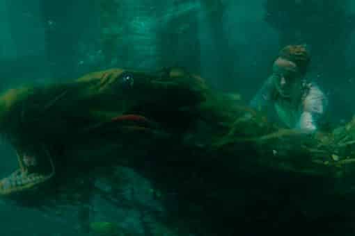 animales fantásticos: los crímenes de grindelwald | reveladas nuevas criaturas