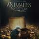 animales fantásticos y dónde encontrarlos