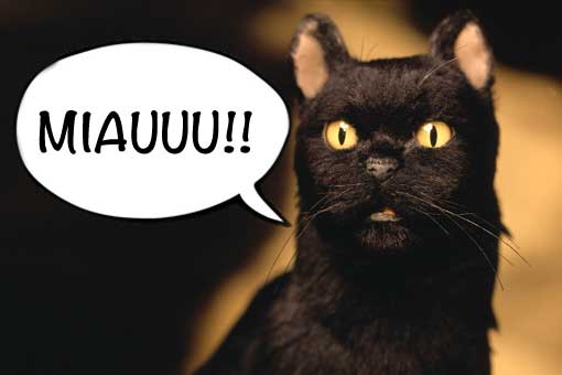 ¿en sabrina temporada 2 hablará el gato salem? tenemos la respuesta
