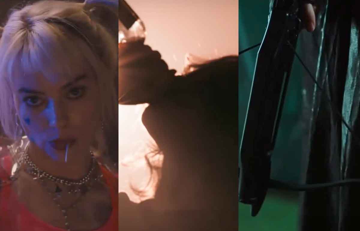 aves de presa: se filtra la extraña alianza de canario negro