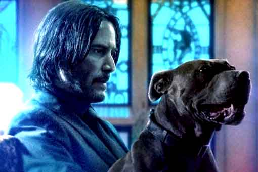 Una de las estrellas de John Wick se jacta de diezmar a Vengadores: Endgame en taquilla