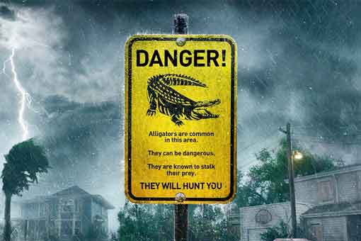 Tráiler Crawl: Caimanes hambrientos con muy malas intenciones tráiler crawl: caimanes hambrientos con muy malas intenciones