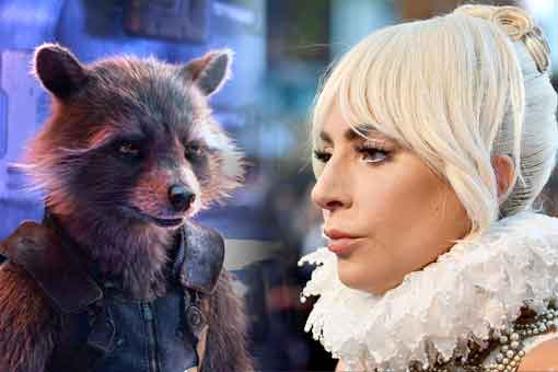 Guardianes de la Galaxia Vol 3: Lady Gaga podría ser la novia de Rocket guardianes de la galaxia vol 3: lady gaga podría ser la novia de rocket