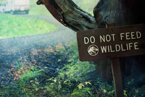 cortometraje jurassic world battle at big rock