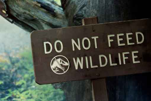 más información sobre el cortometraje de jurassic world