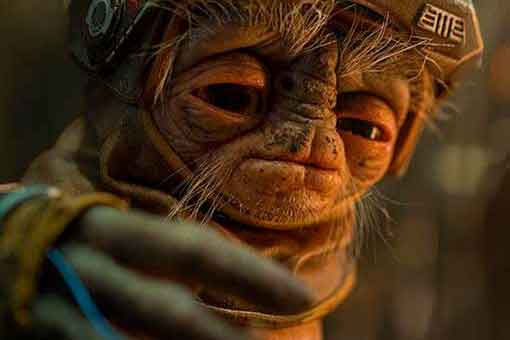 Star Wars 9: Primera imagen del extraño alienígena Babu Frik star wars 9: primera imagen del extraño alienígena babu frik