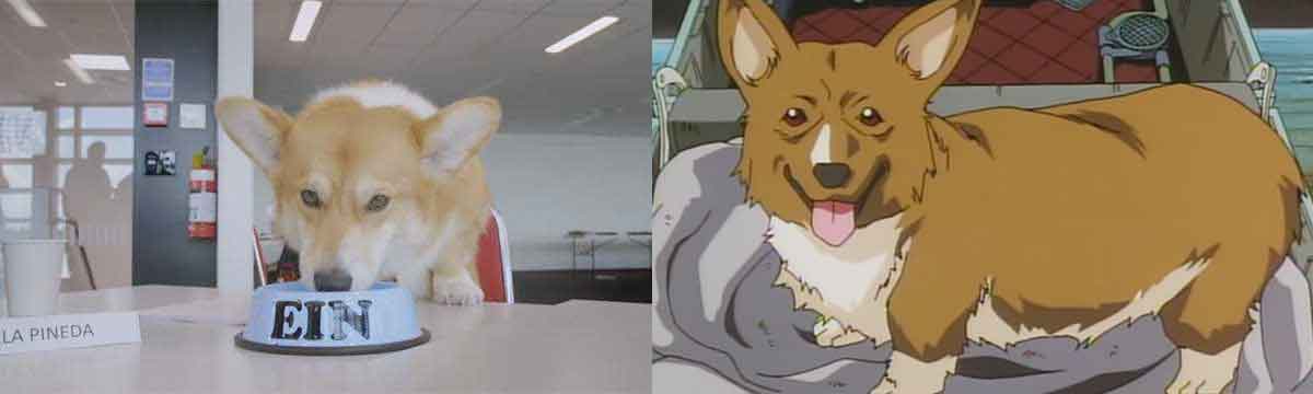 netflix inicia el rodaje de la serie cowboy bebop de acción real