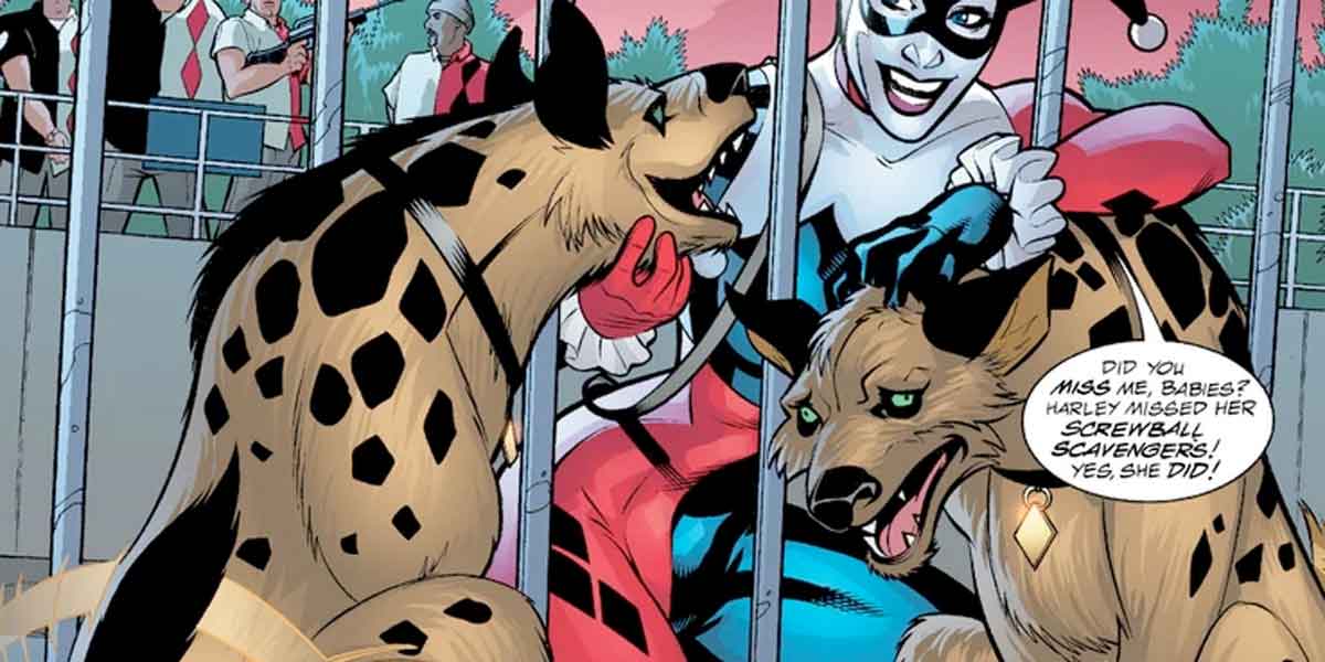 Explicación de por qué Harley Quinn tiene una hiena en Aves de Presa