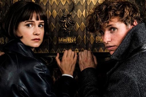 animales fantásticos 3: primeros detalles del elenco y localización