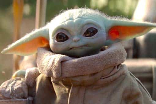 star wars: the mandalorian: baby yoda tiene nombre y taika waititi lo sabe