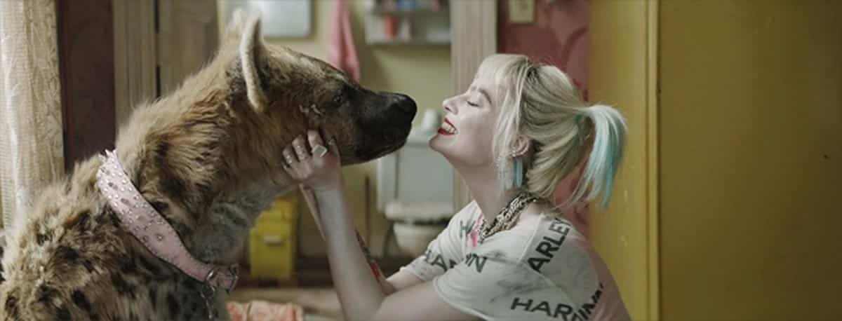 así hicieron la hiena en la película harley quinn: aves de presa