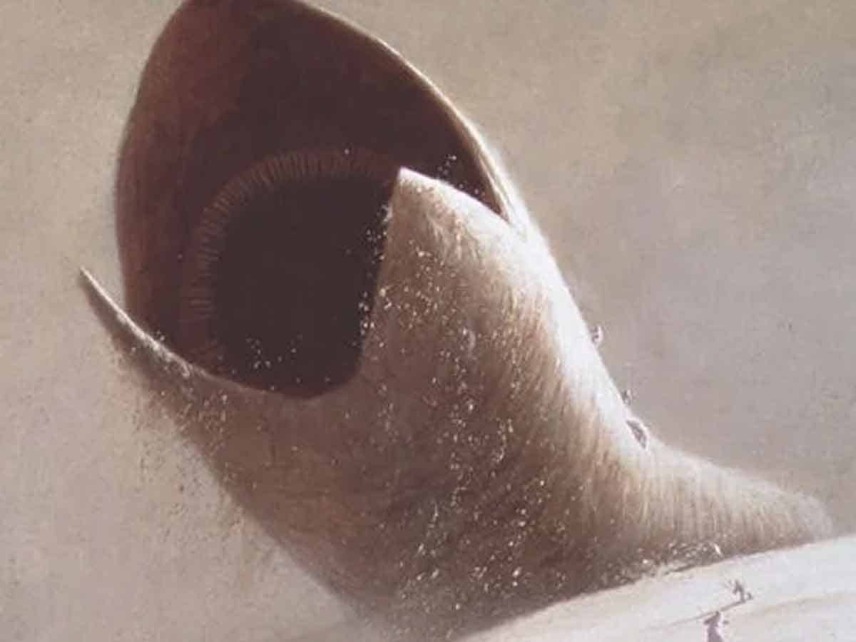 Ha costado todo un año crear el gusano de DUNE ha costado todo un año crear el gusano de dune