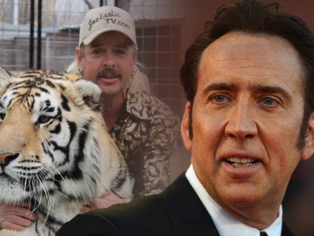 Nicolas Cage interpretará a Joe Exotic en una adaptación de Tiger King nicolas cage interpretará a joe exotic en una adaptación de tiger king