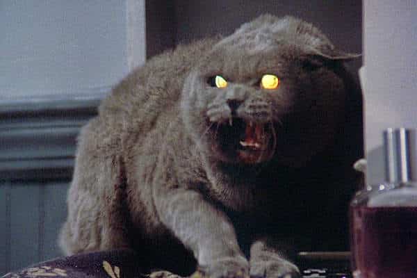 El Cementerio Viviente: Análisis del Blu-Ray el cementerio viviente