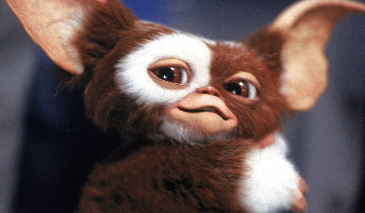 10 curiosidades sobre Gremlins (1984) gremlins 3: ¿cómo será los gremlins de esta nueva película?