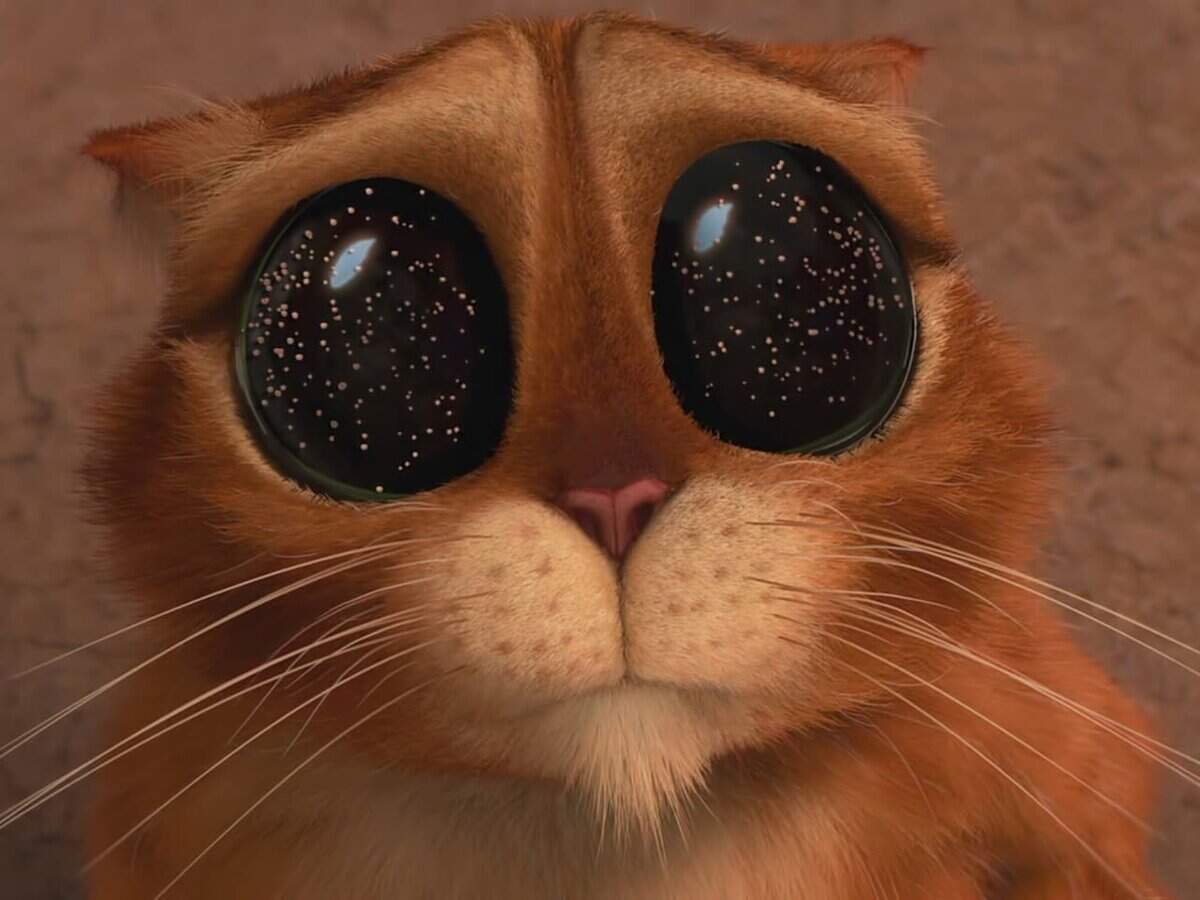 El gato con botas ya tiene secuela y fecha de estreno