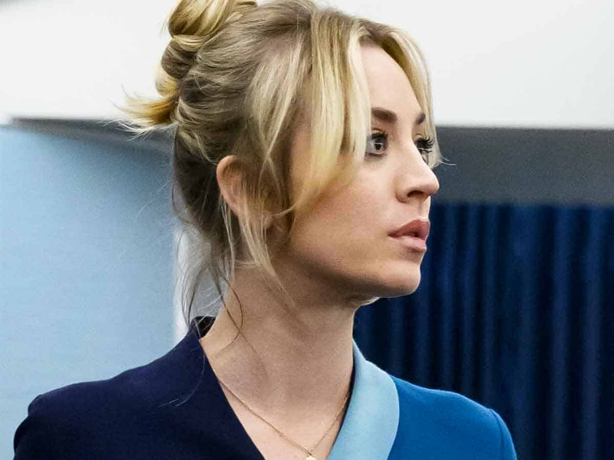 the flight attendant (hbo max)