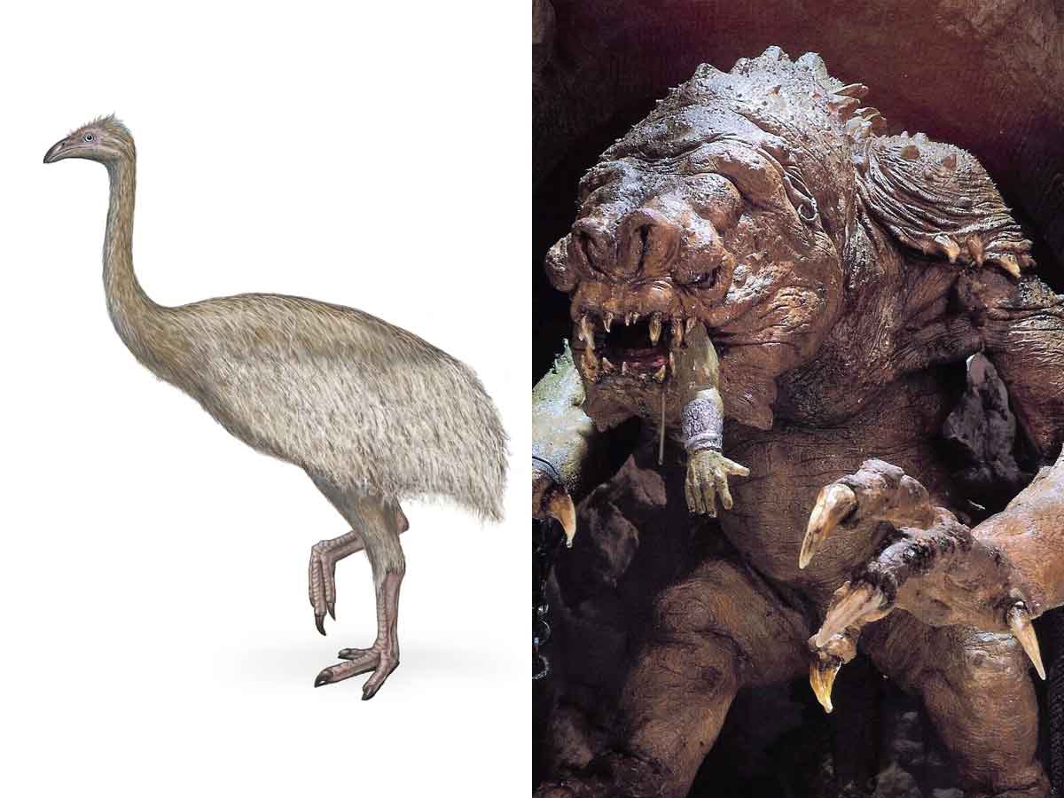 Mark Hamill se burla de un descubrimiento arqueológico