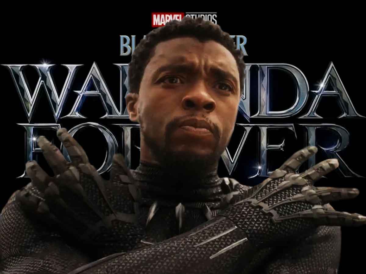 black panther: wakanda forever chadwick boseman t'challa marvel studios