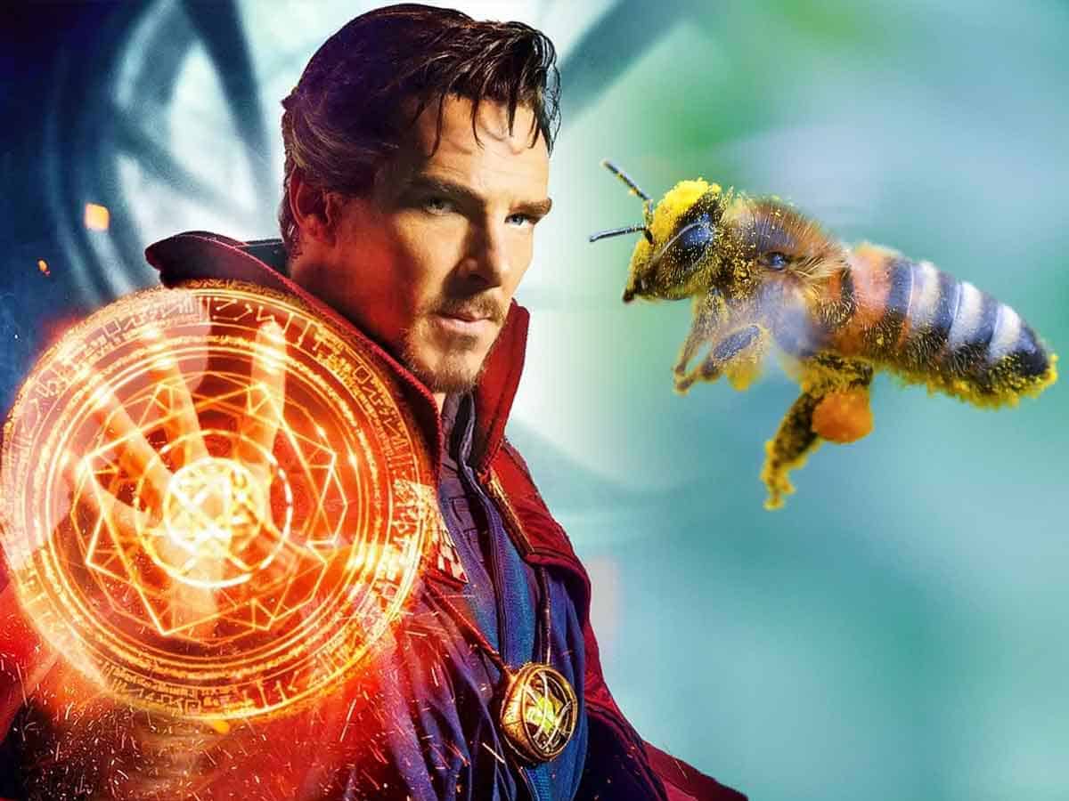 doctor strange 2 abejas