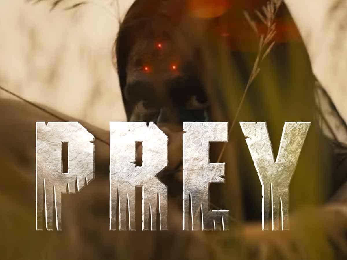 tráiler de prey precuela de predator