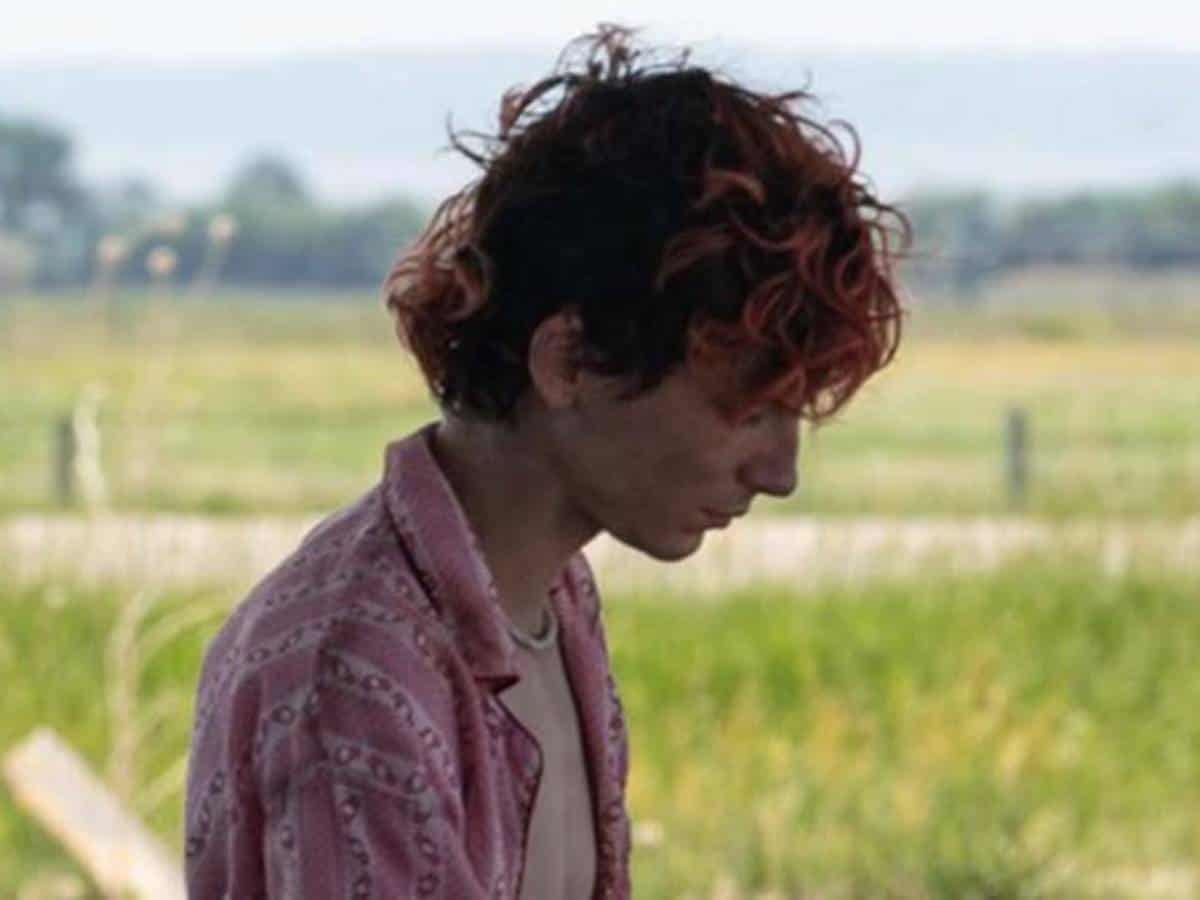 timothée chalamet en bones & all