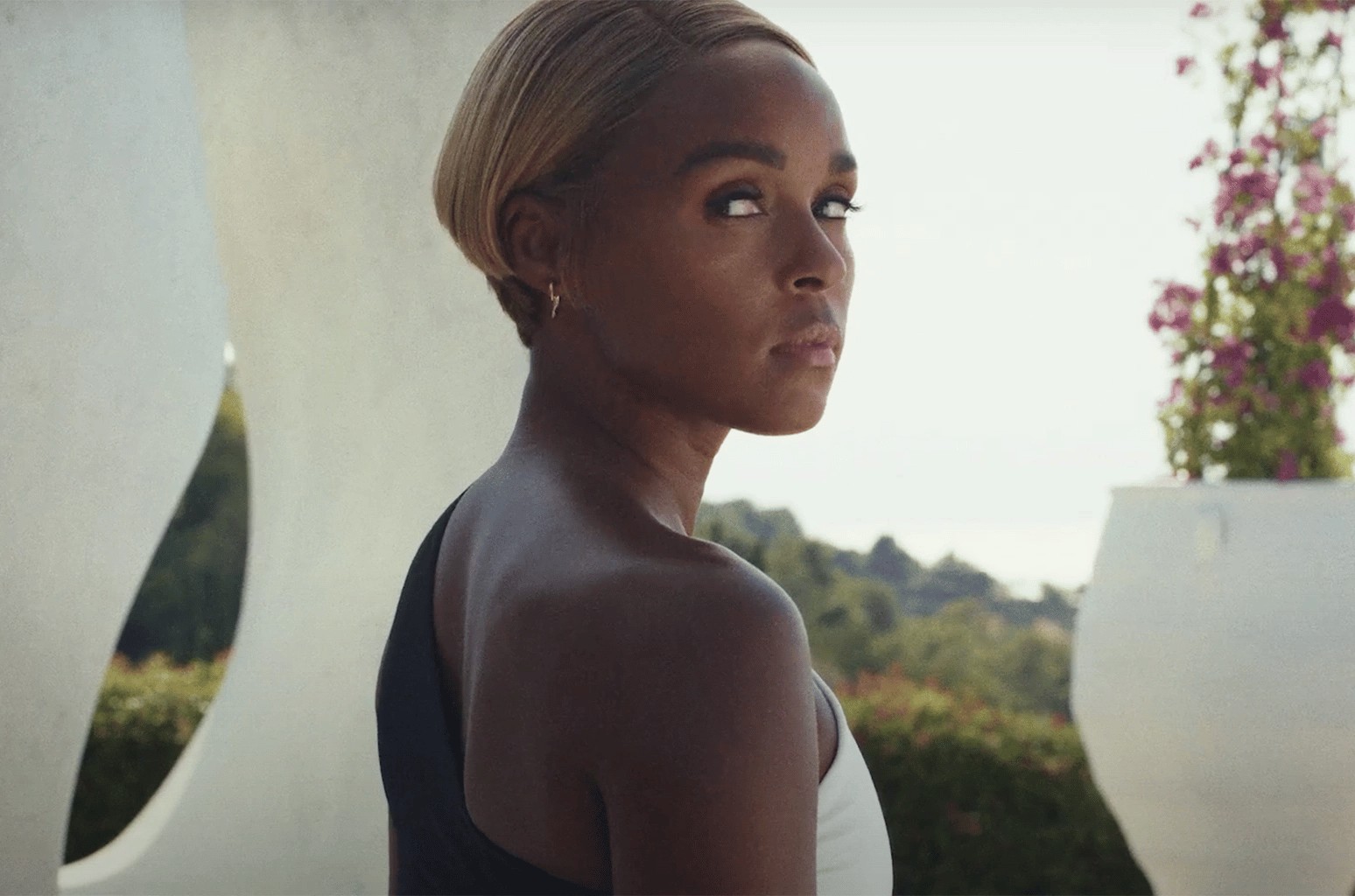 janelle monáe - glass onion