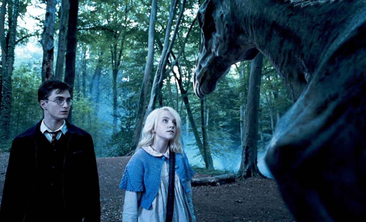 se revela la primera invitada de comic-con colombia: viene de harry potter