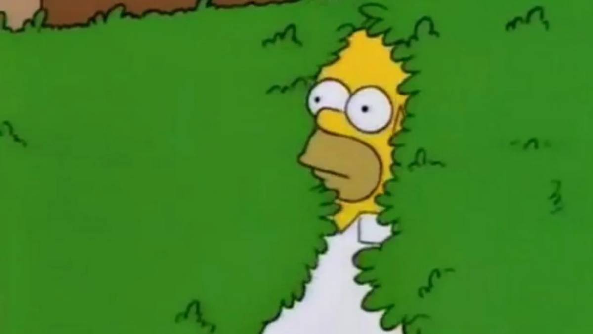 el meme de los simpson