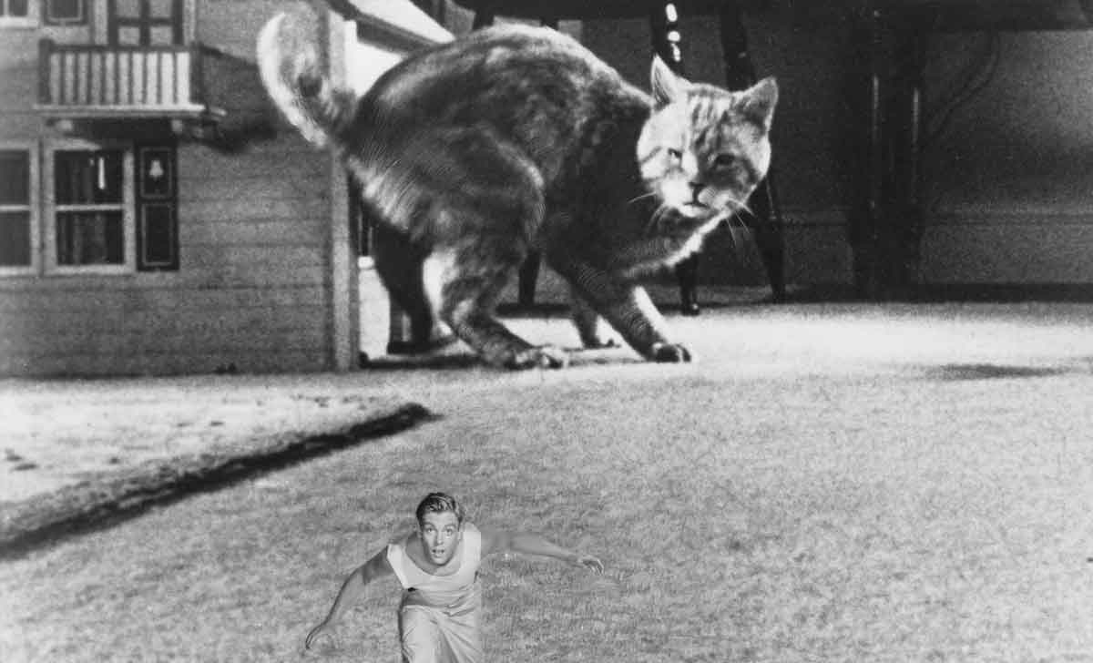 el increíble hombre menguante (1957) - mejores películas de ciencia ficción de los años 50