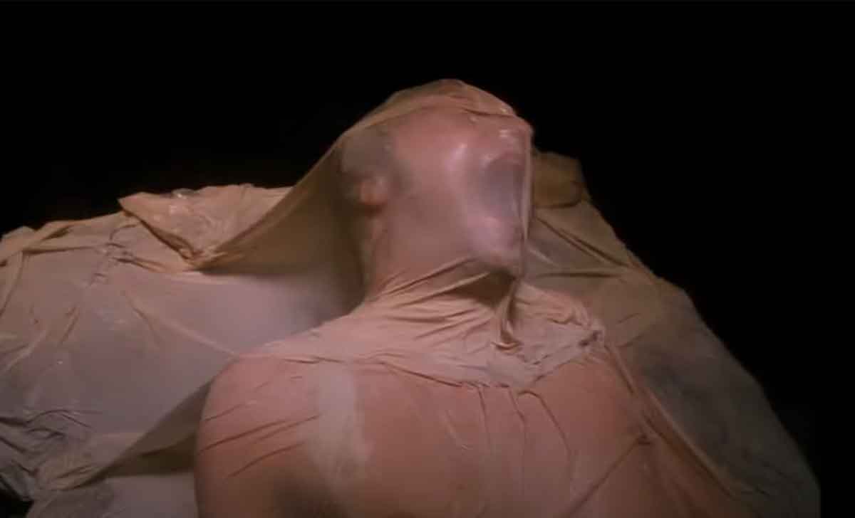 Fire in the Sky 1993