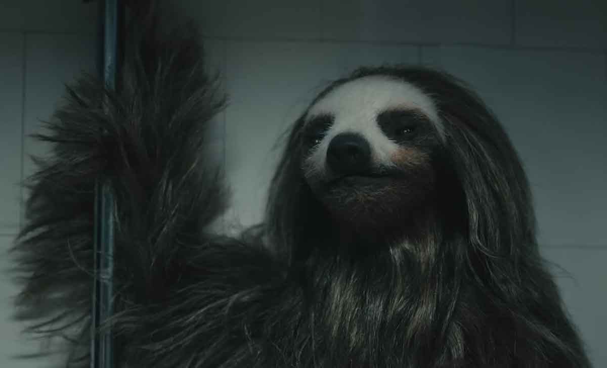 slotherhouse - oso perezoso asesino