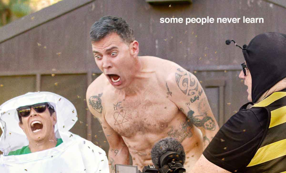 steve-o en jackass