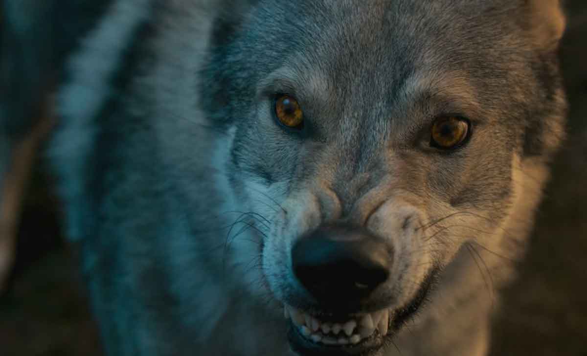 lobo de la rueda del tiempo