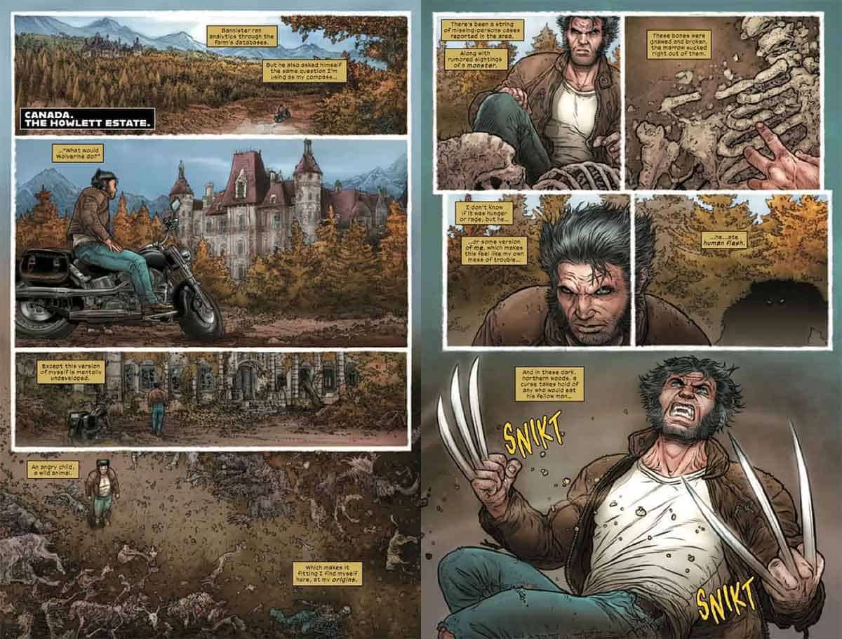 wolverine vs hulk de marvel