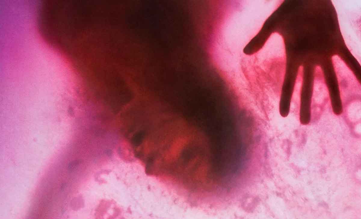 película de terror the blob