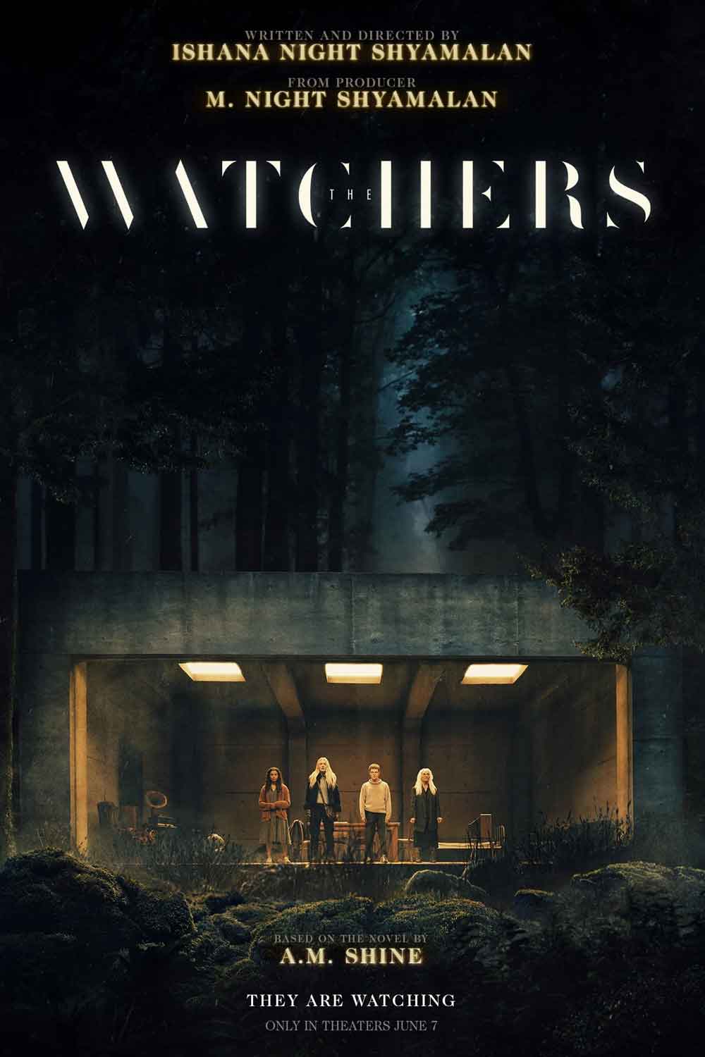 los vigilantes (the watchers)