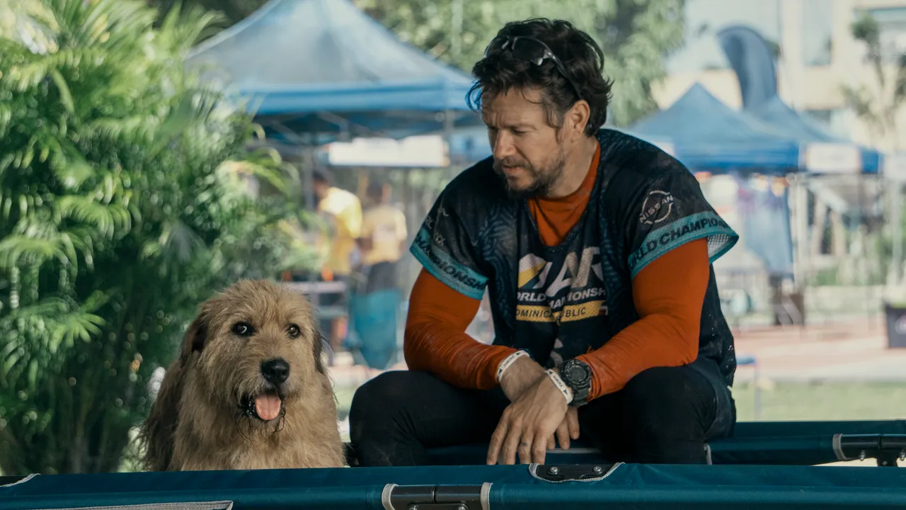 mark wahlberg compite en taquilla con su nueva película